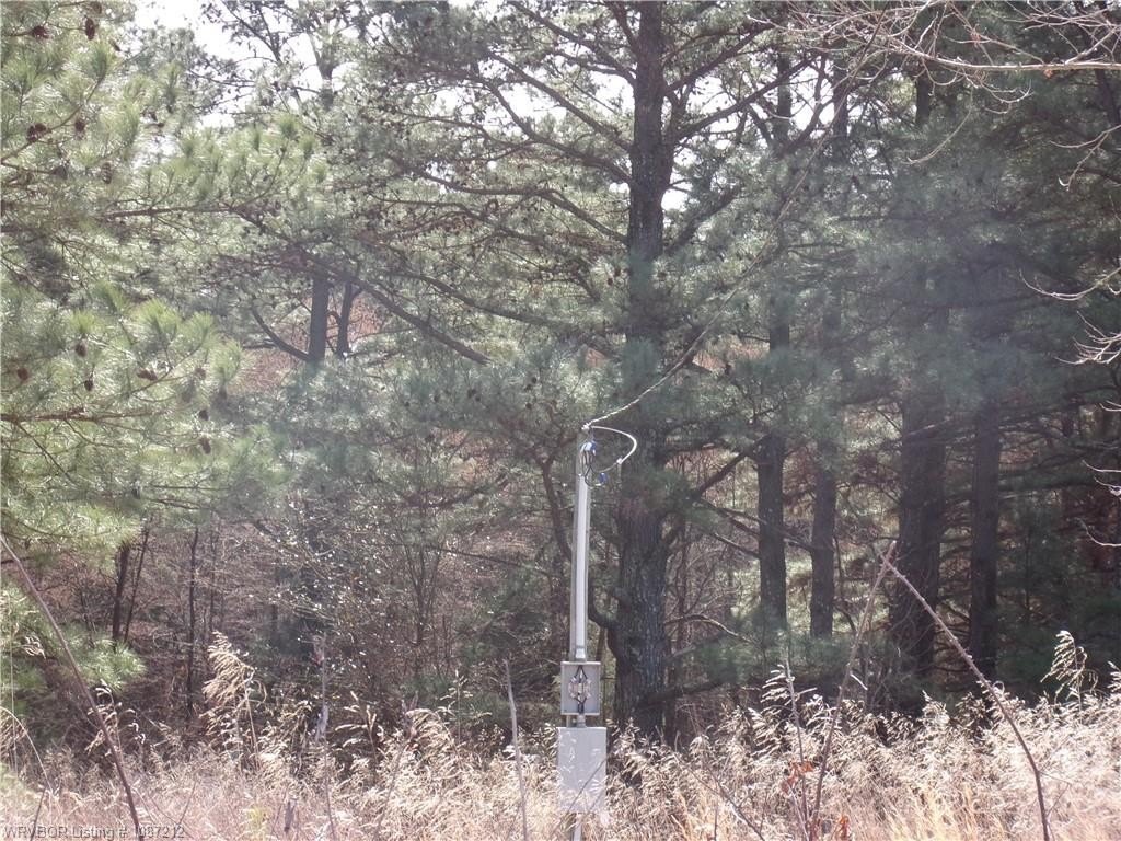Picture 5