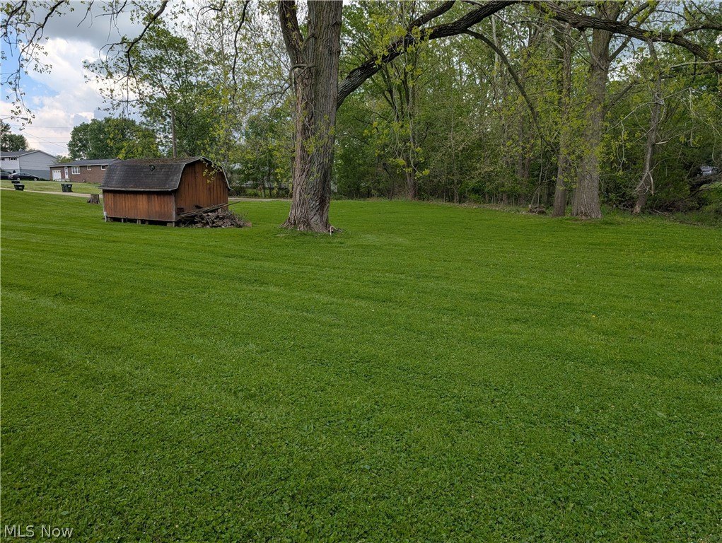 Picture 6