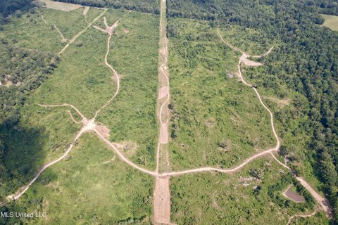 238.6 Acres in Flora, MS