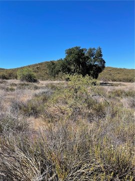 LAND - Hemet, CA