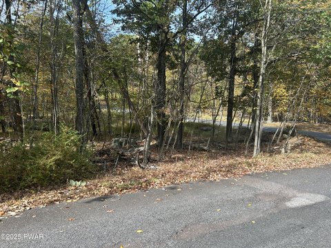 Pocono Mountain Wooded Lot