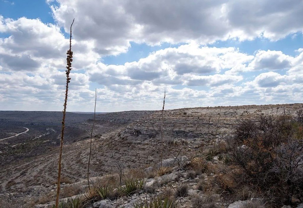 Picture 3