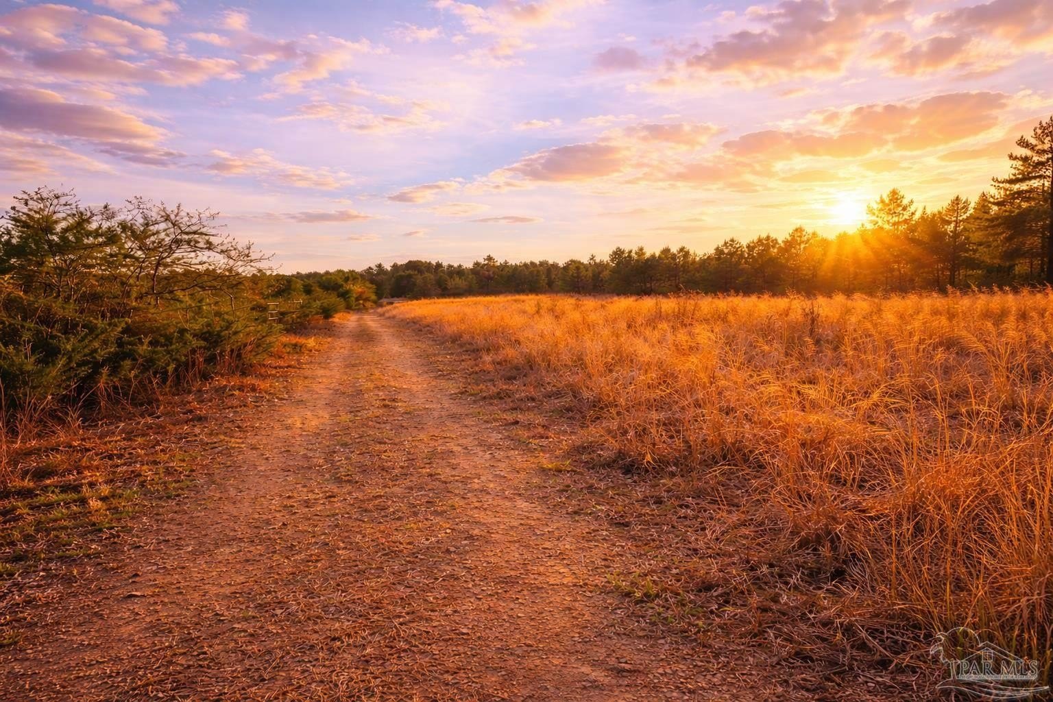Land Parcel in Jay, FL