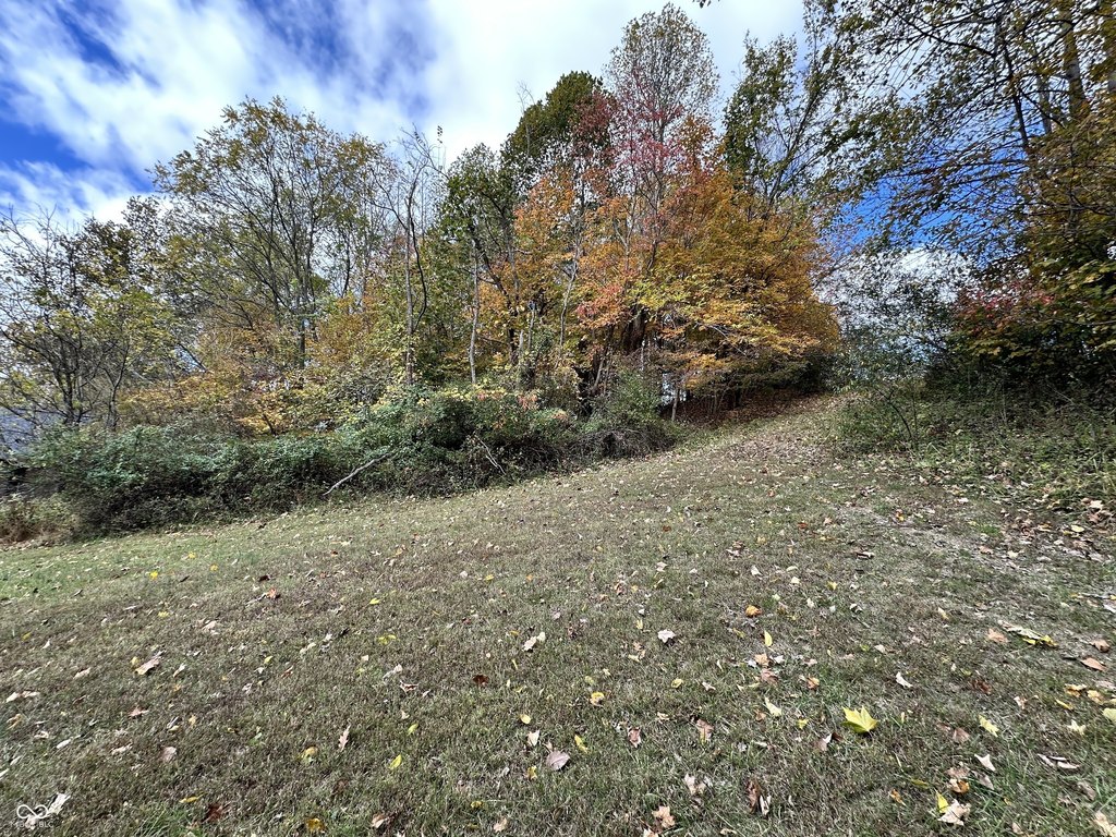 Picture 22