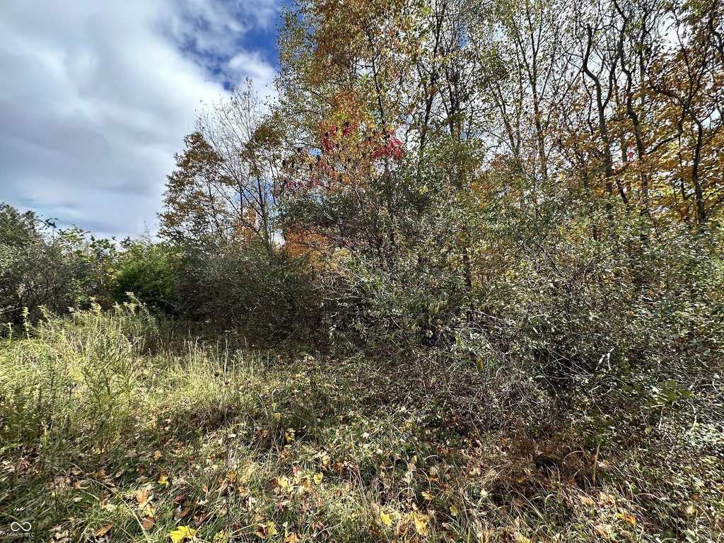 Picture 18