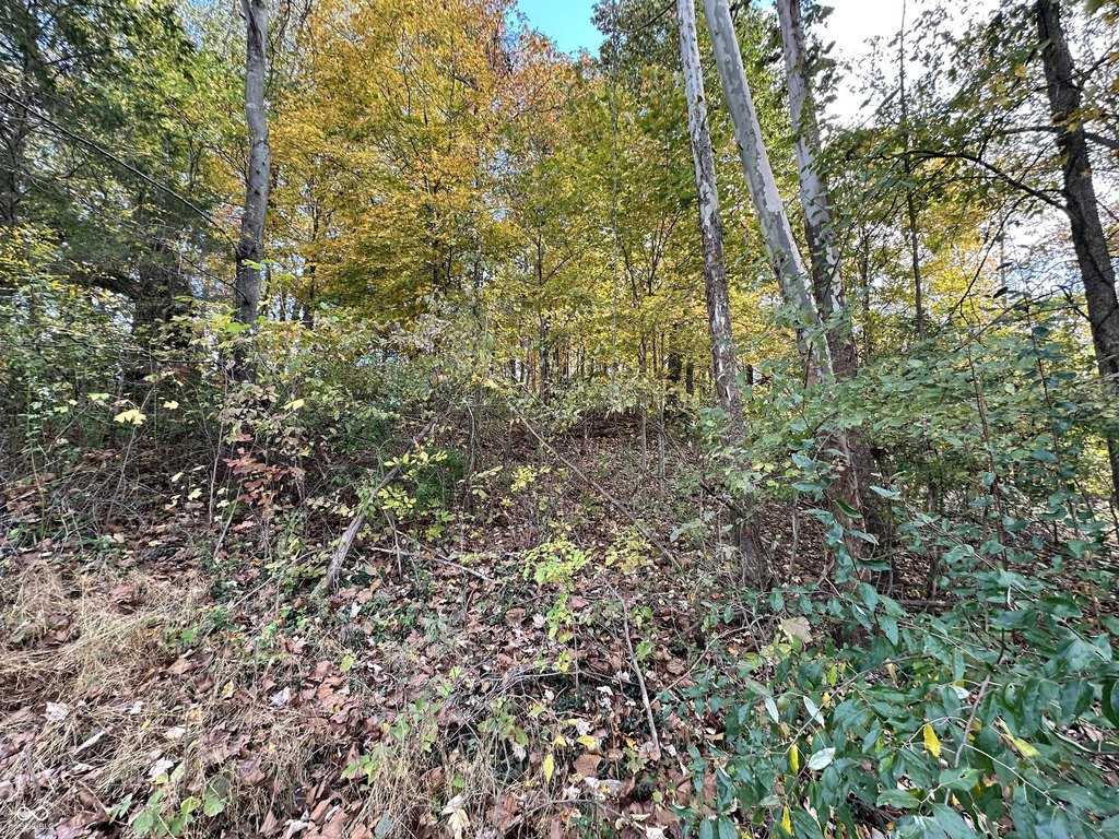 Picture 15