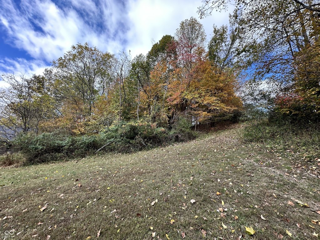 Picture 12
