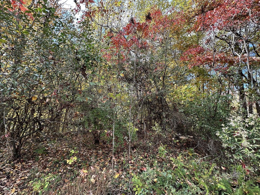 Picture 19