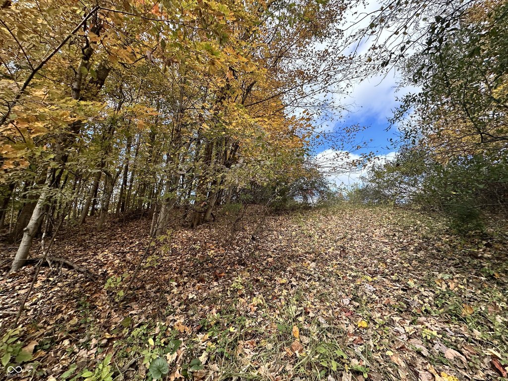Picture 21