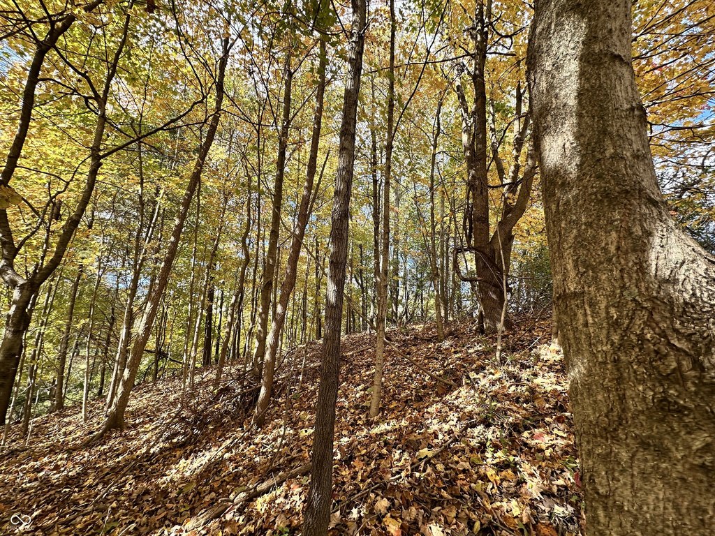 Picture 10
