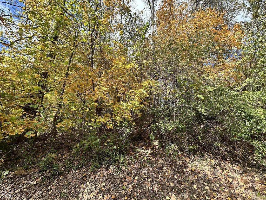 Picture 23