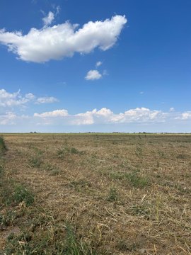 Idalou, TX: 10 Acre Land