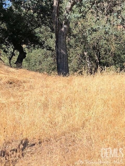 Buildable Lot in Tehachapi, CA
