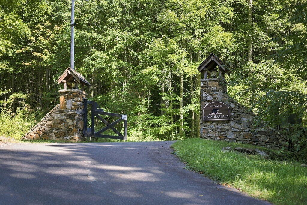 Picture 17
