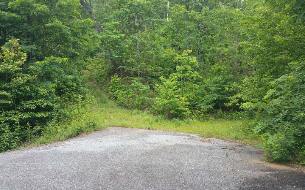 Picture 4