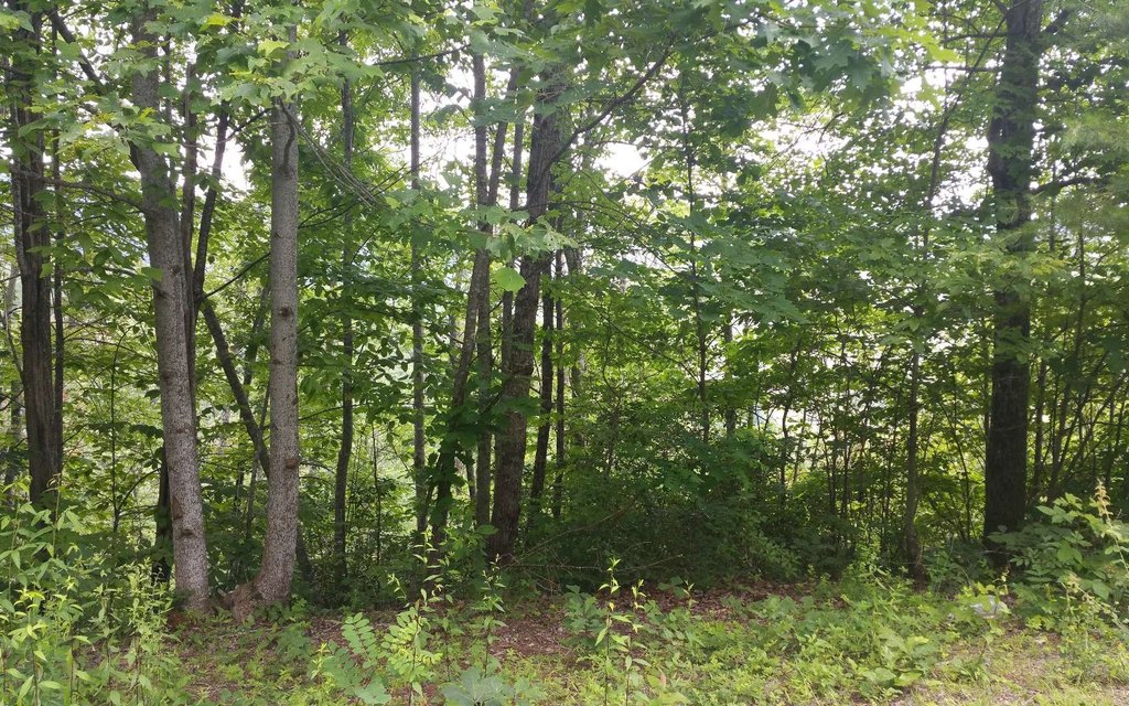 Picture 3