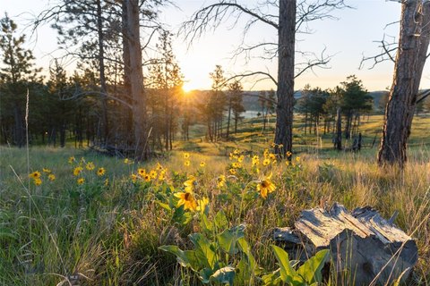 37 Acres in Bull Mountains