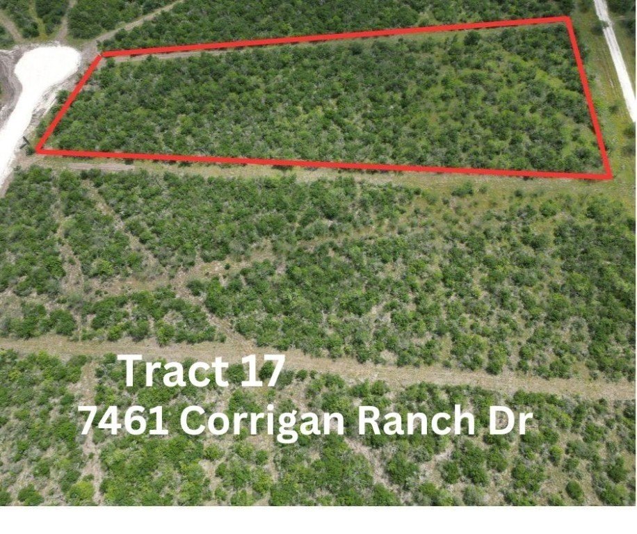 Skidmore Land For Sale