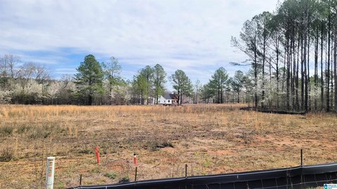 Harpersville Land with River Access