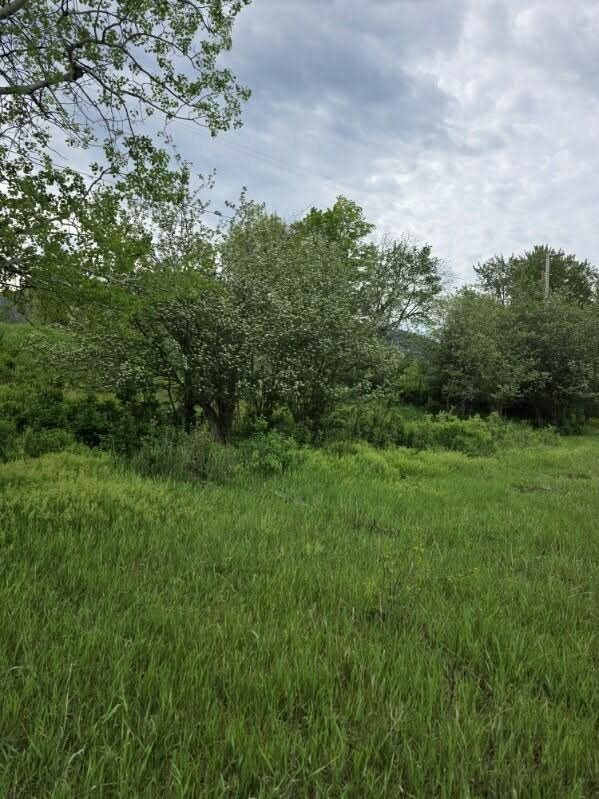 Land with Mountain Views