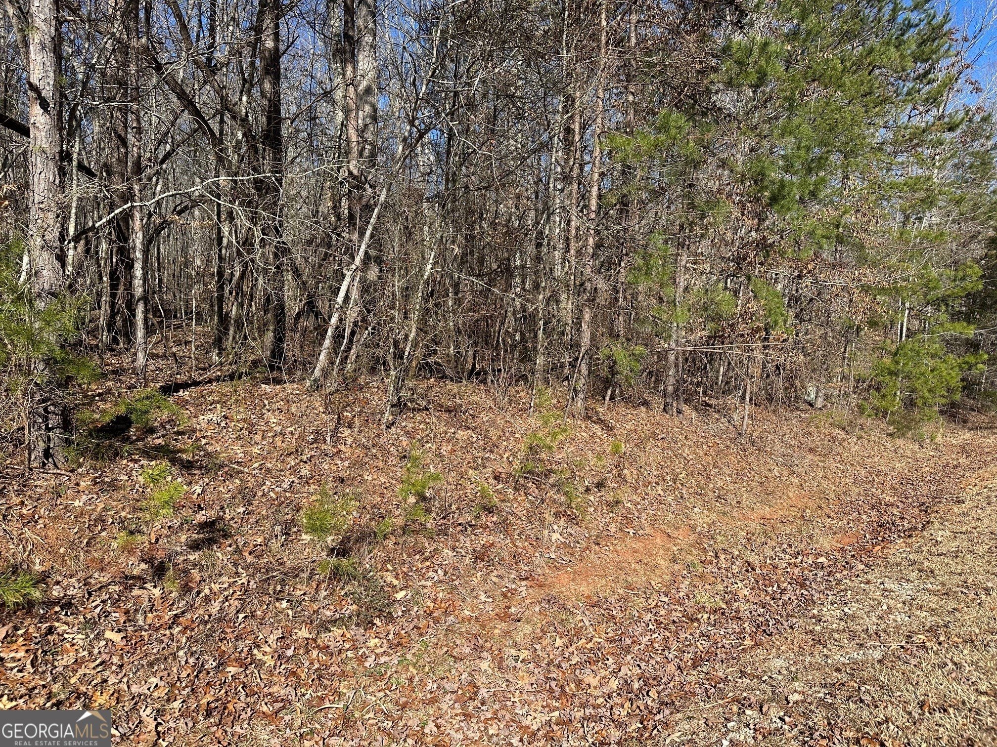Land in Martin, Georgia