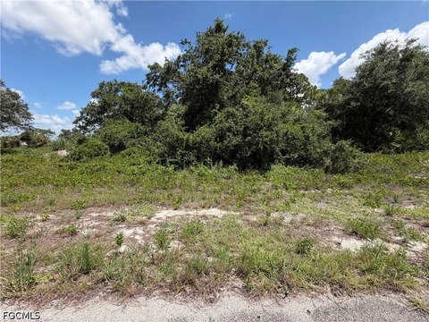 LAND - Labelle, FL