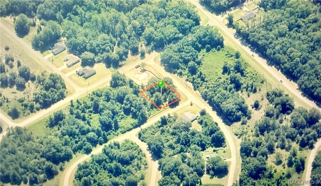 Picture 3