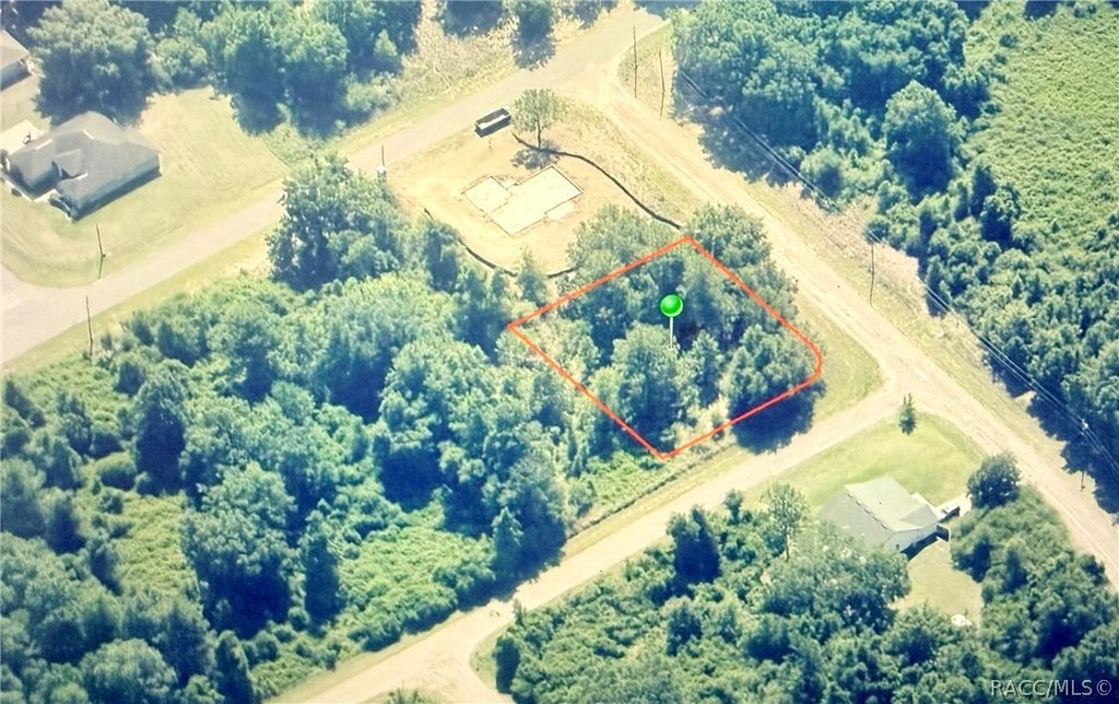 Picture 2