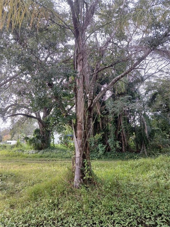 Picture 4