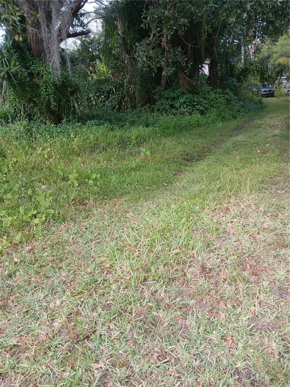 Picture 8