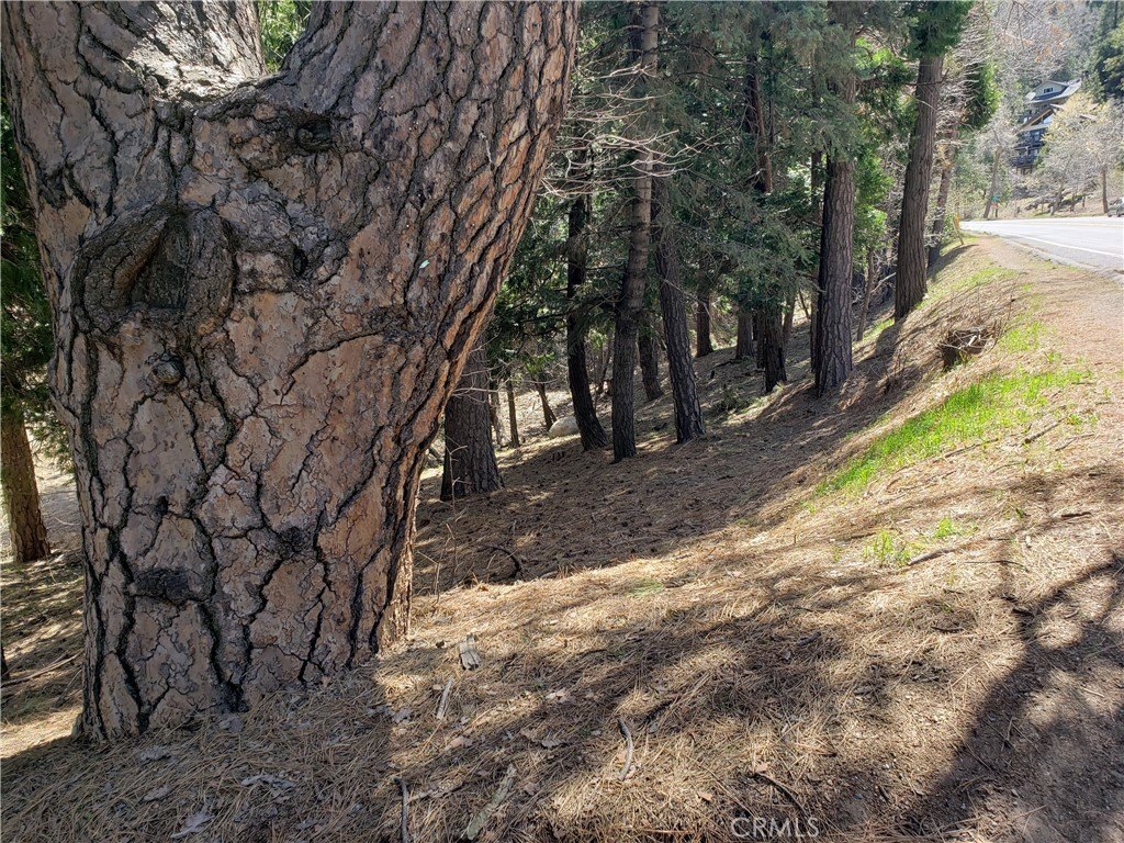 Picture 7