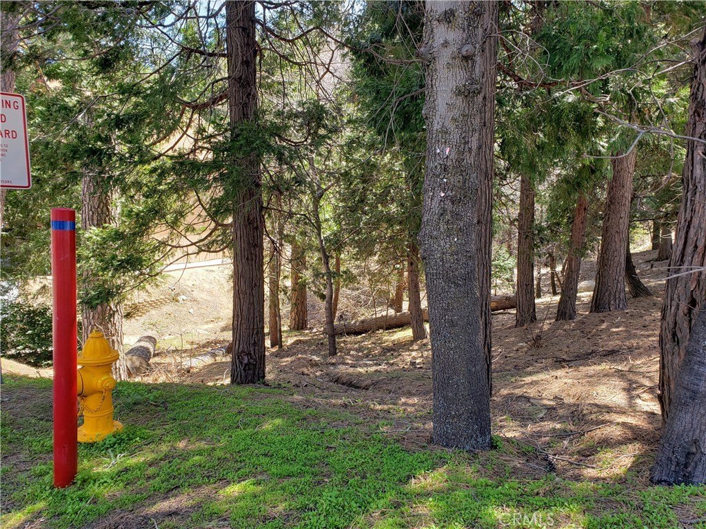 Picture 9