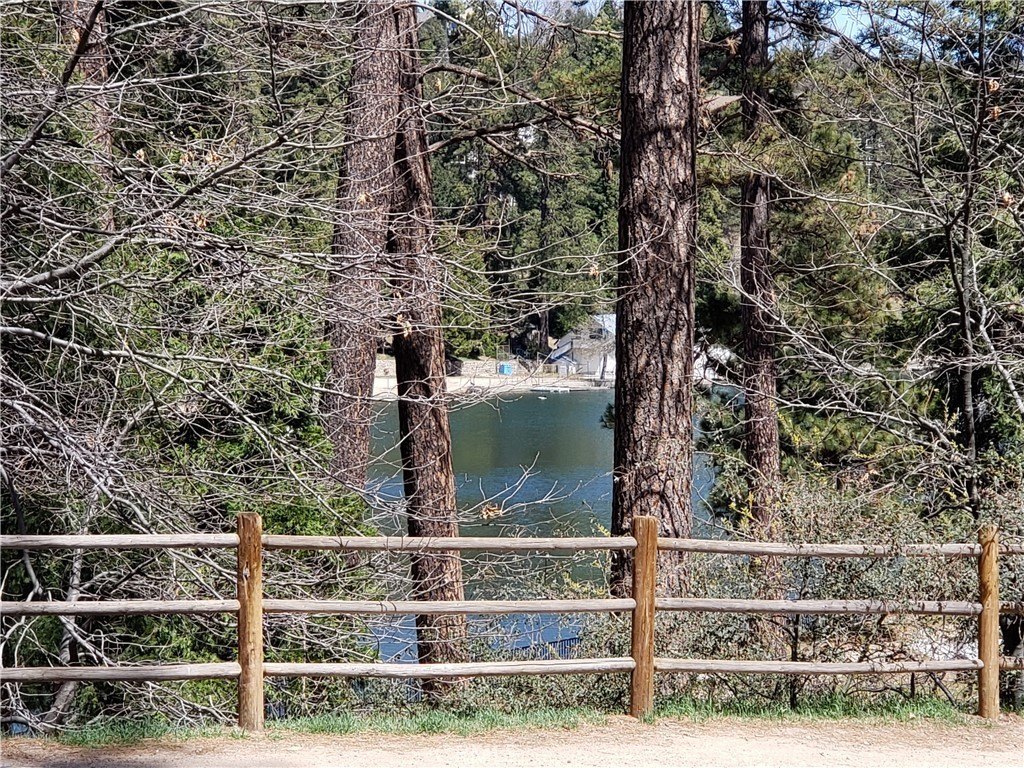 Picture 17
