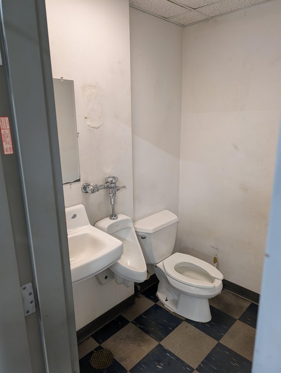 Picture 46