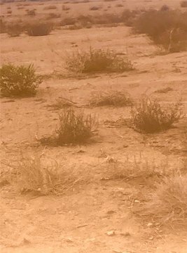 Kingman, AZ Land Parcel