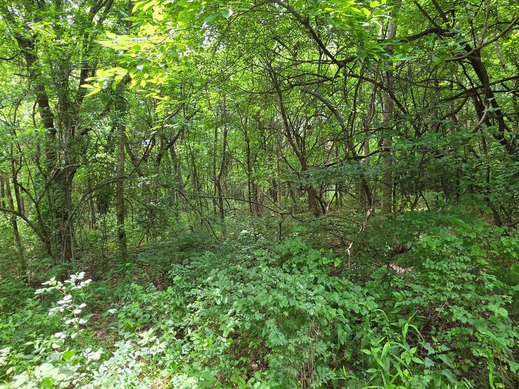 Picture 20