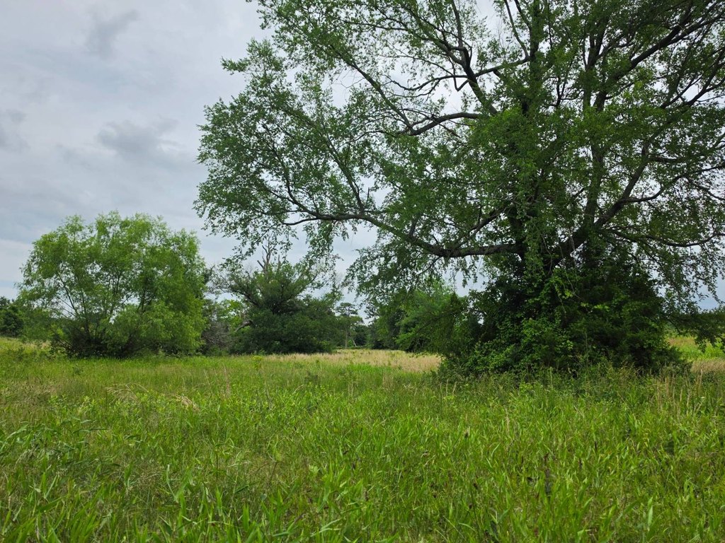 Picture 34