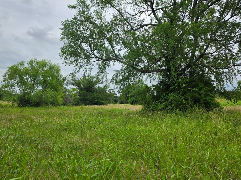 Picture 33