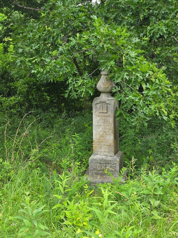 Picture 22