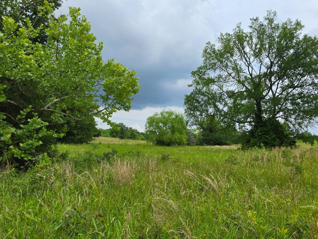 Picture 28