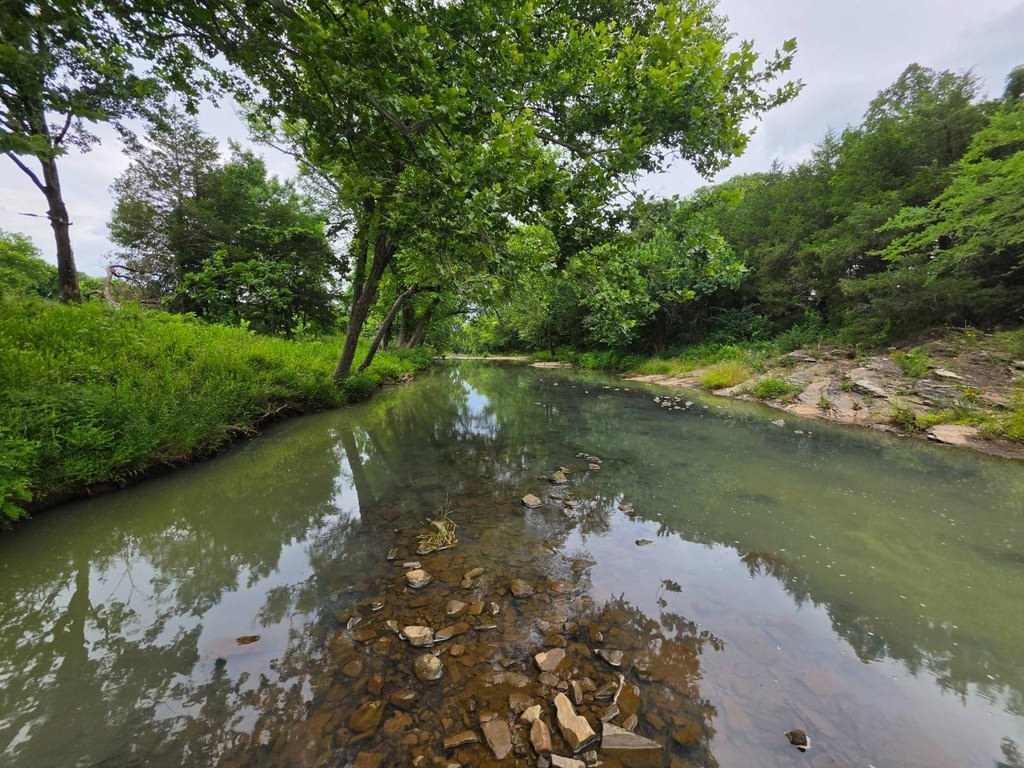 Picture 46