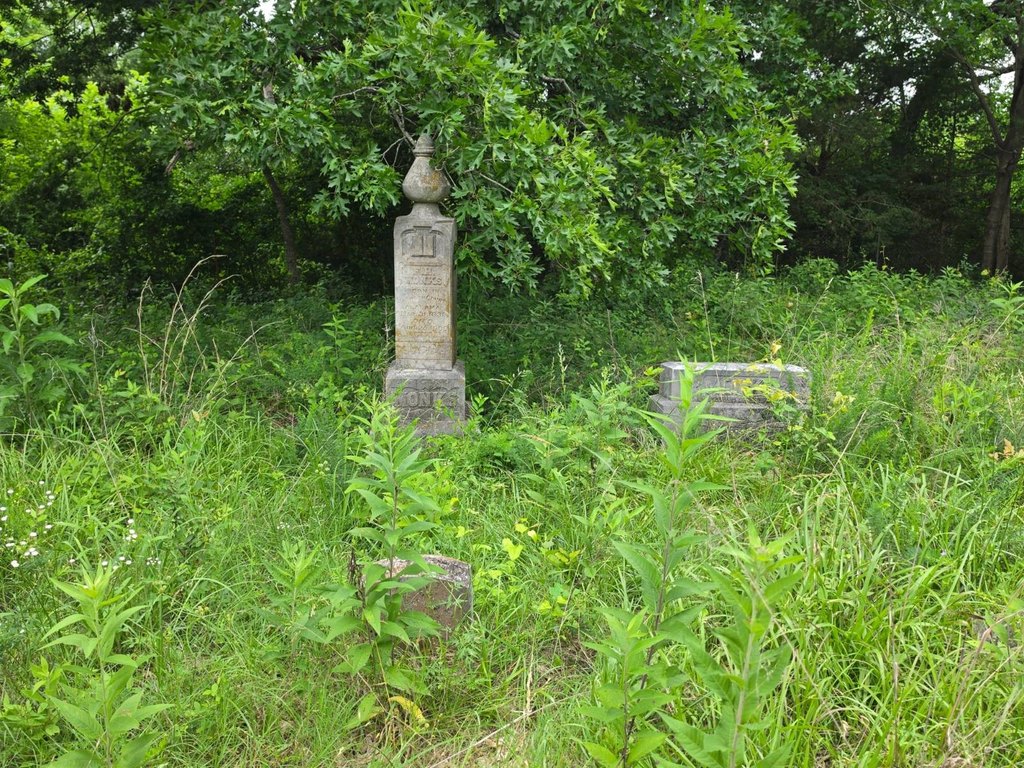 Picture 23