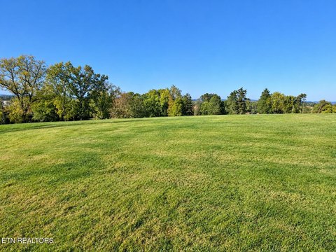 Lots & Acreage, Jefferson City, TN