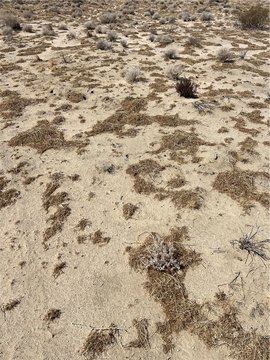 Adelanto Land Parcel For Sale