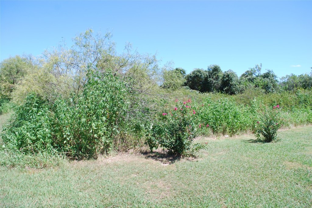 Picture 4