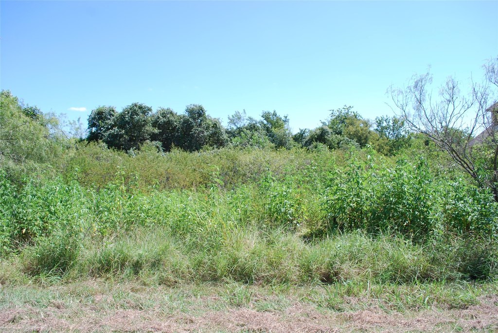 Picture 3