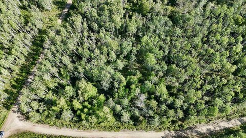 LAND - Delta Junction, AK