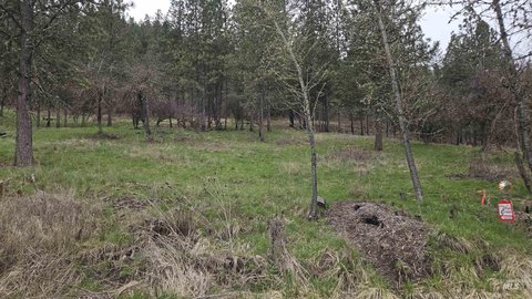 Buildable Lot in Peck, Idaho