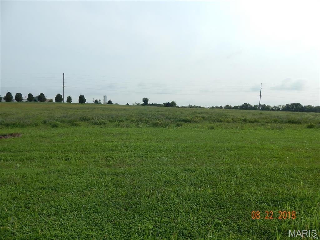 Picture 3