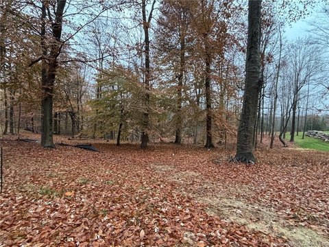 Wooded Lot in Floyds Knobs